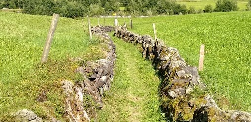 bergweg familie opstellingen in de Achterhoek