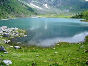 Wat is Sjamanisme - sjamaan Dieren