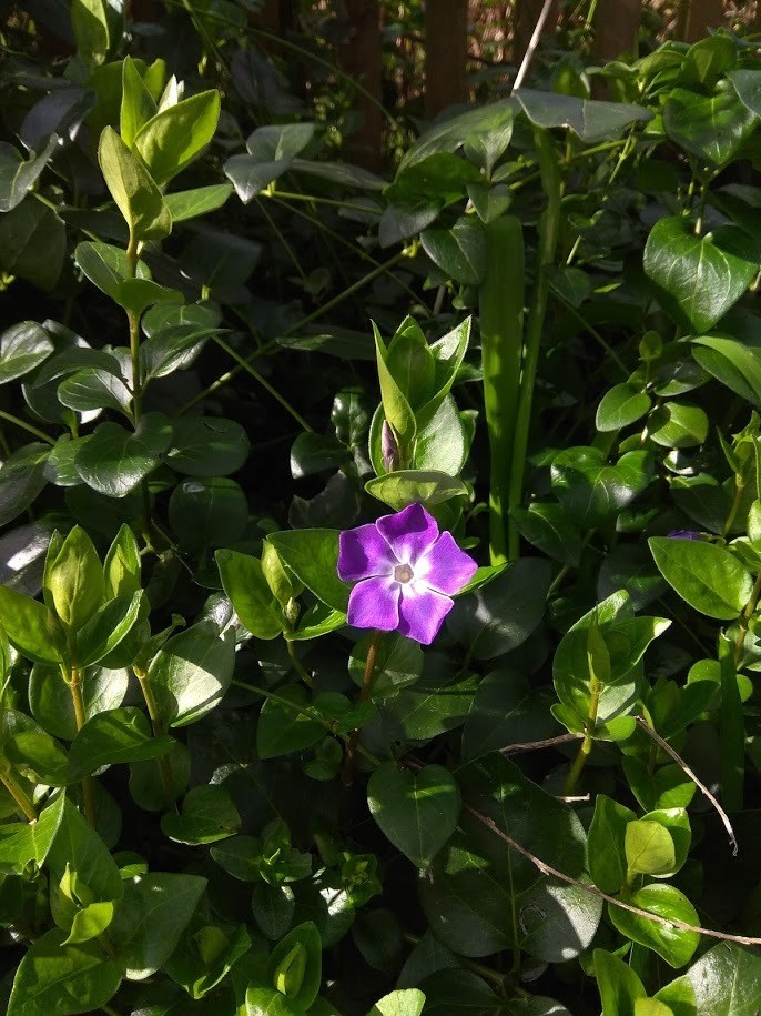 Wat kan jij zelf nu doen om in deze ongewone tijden in je midden te blijven?