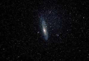 Het sjamanistische veld