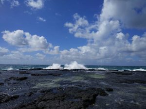 Blokkades de sytemische blik 2022