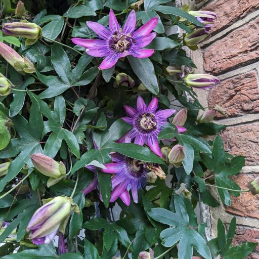 Geniet van de zomer!